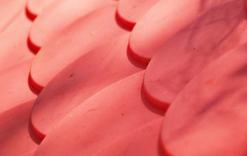 Huntingtower Haugh plastic roof costs